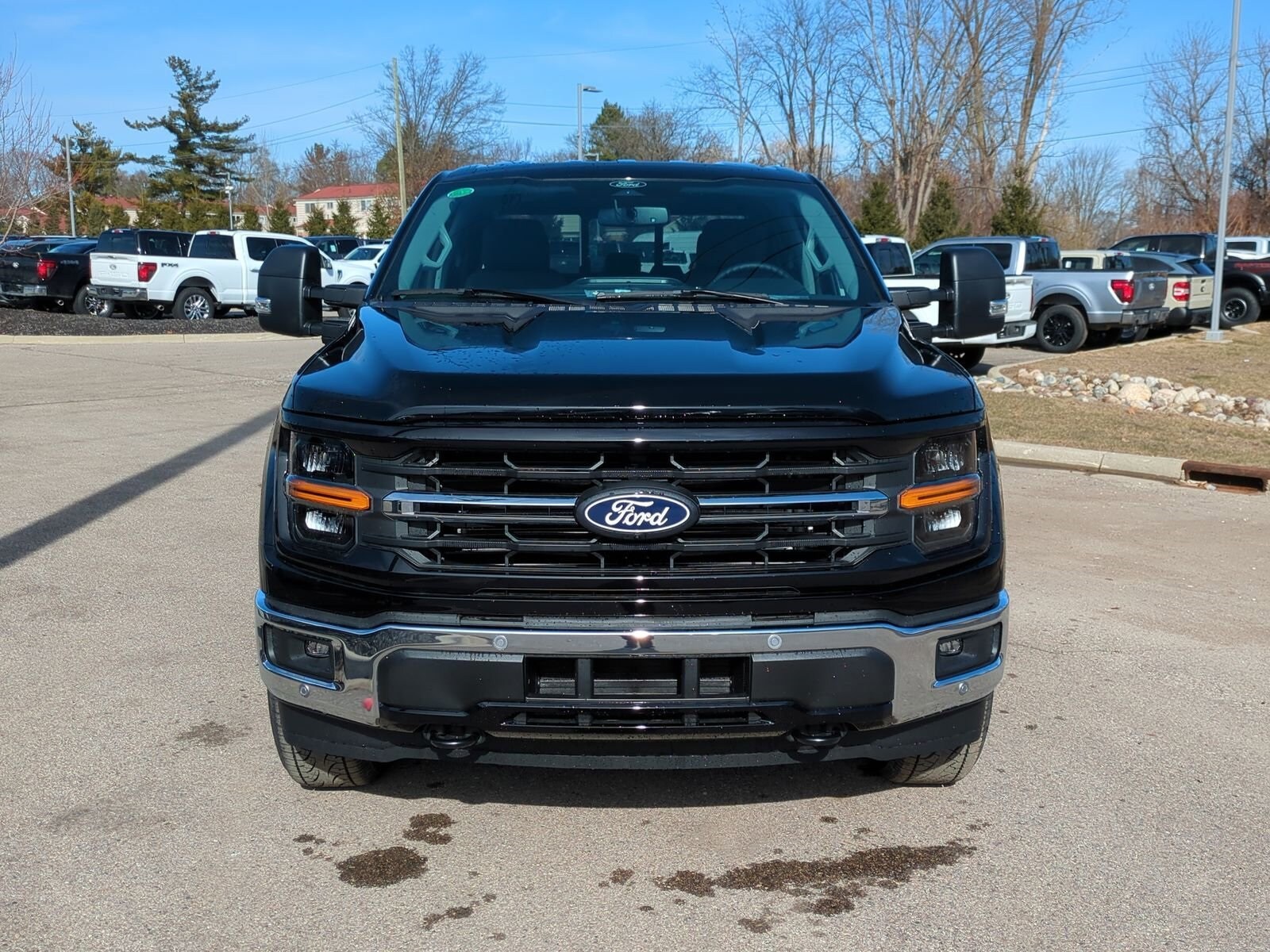 2025 Ford F-150 XLT photo 3
