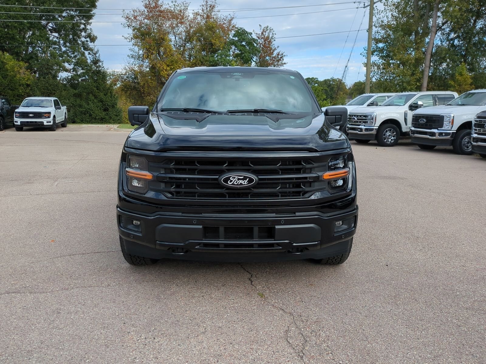 2025 Ford F-150 XLT photo 3