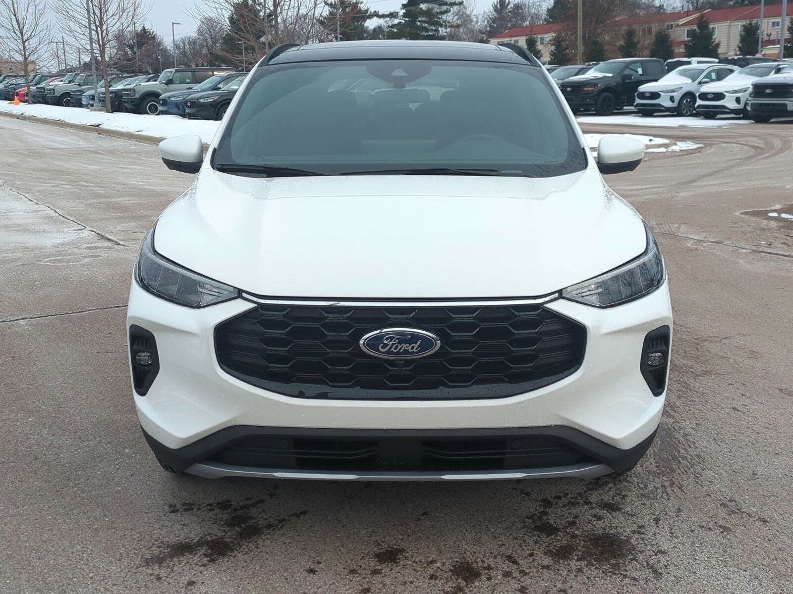 2025 Ford Escape Hybrid ST-Line Select photo 3