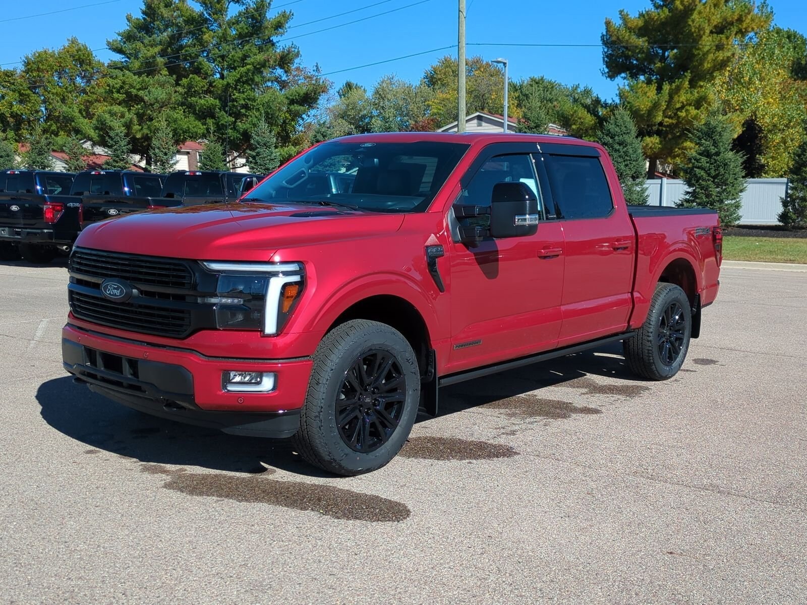 2025 Ford F-150 Platinum photo 4