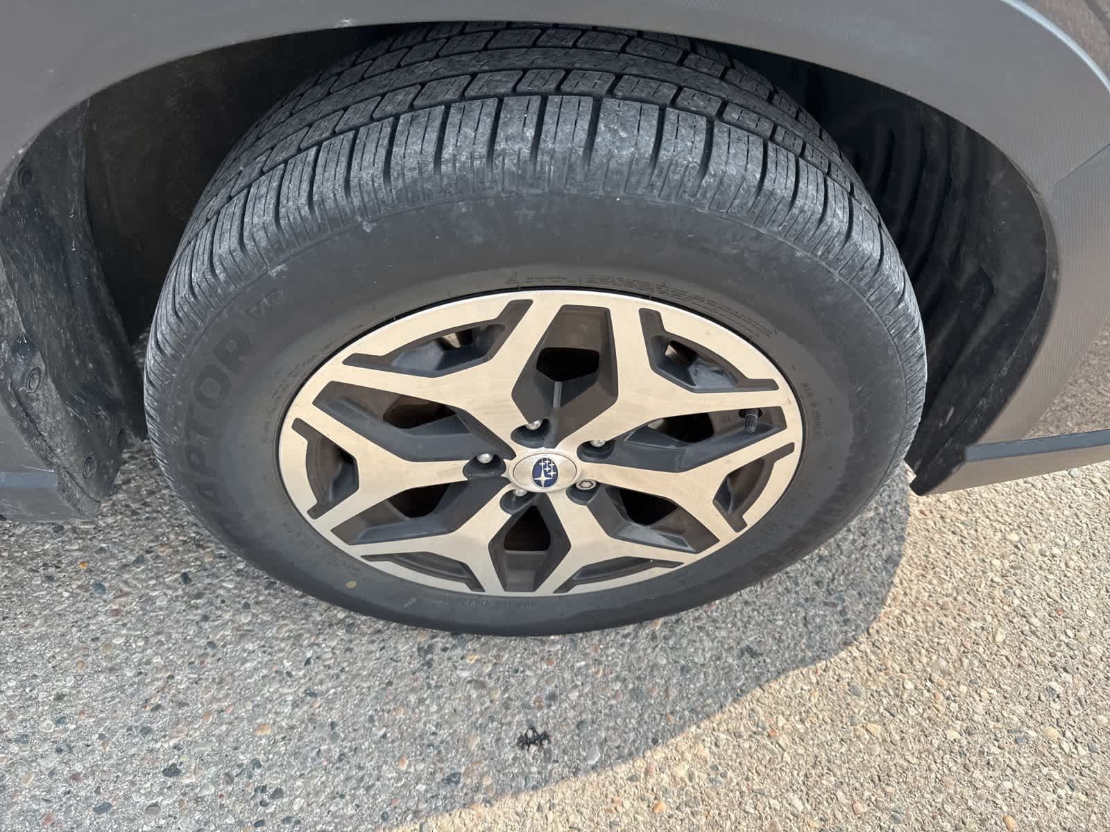Thumbnail: 2019 Subaru Forester - 5