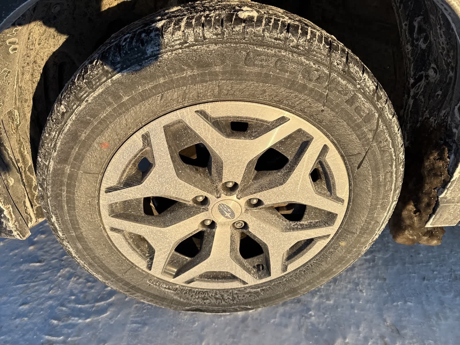 Thumbnail: 2024 Subaru Forester - 6