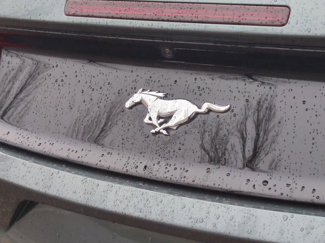 Thumbnail: 2016 Ford Mustang - 13