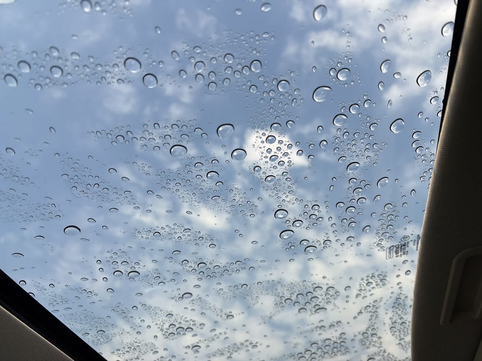 Thumbnail: 2010 Ford Taurus - 19