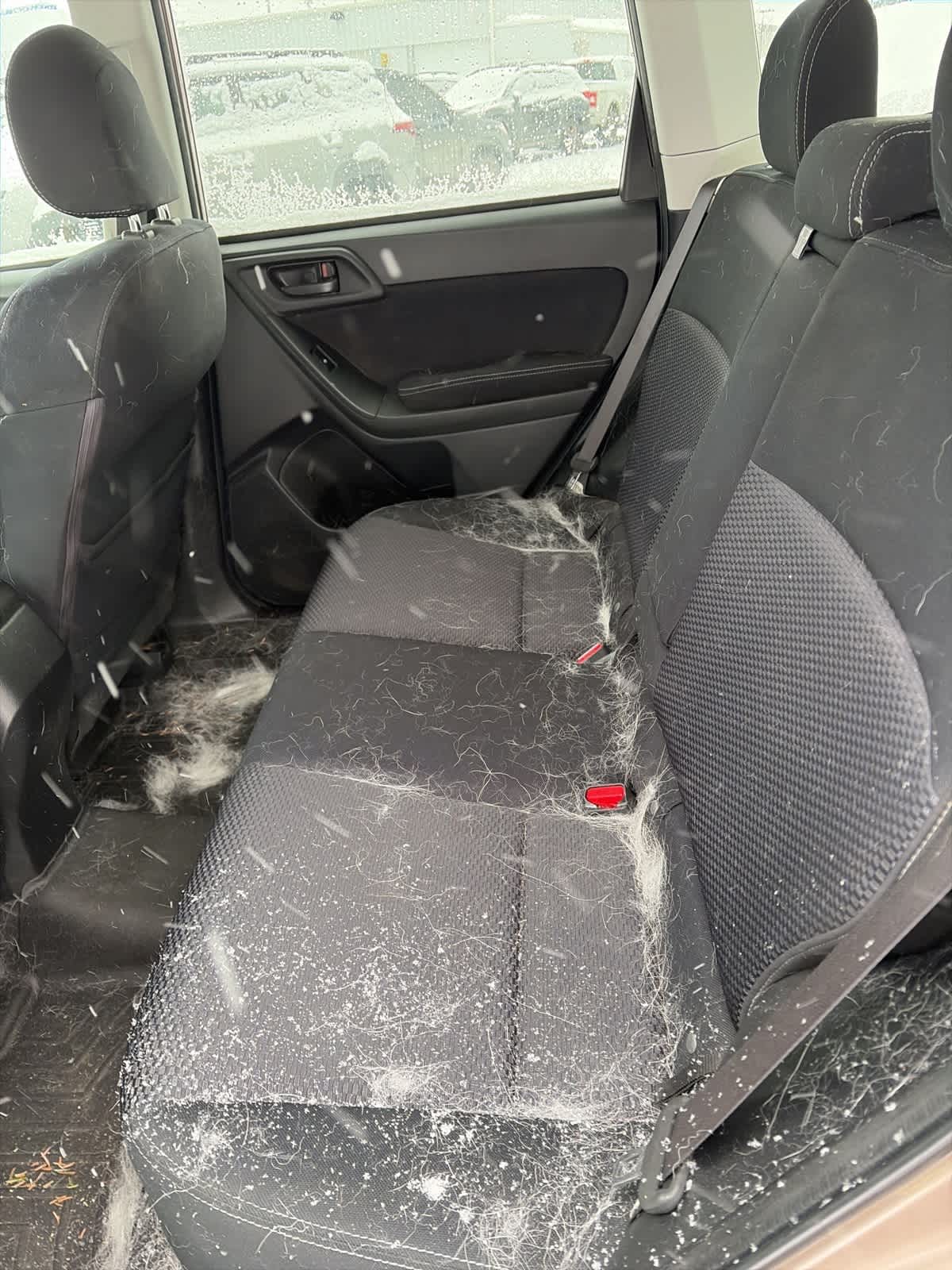 Thumbnail: 2015 Subaru Forester - 11