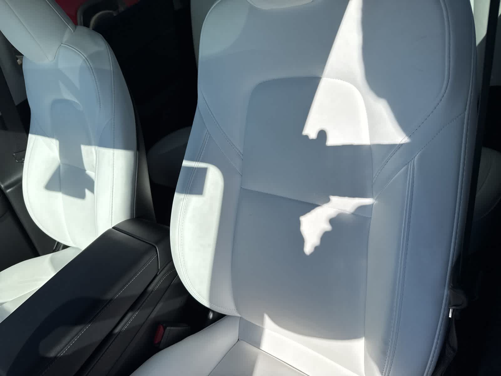 Thumbnail: 2023 Tesla Model Y - 12