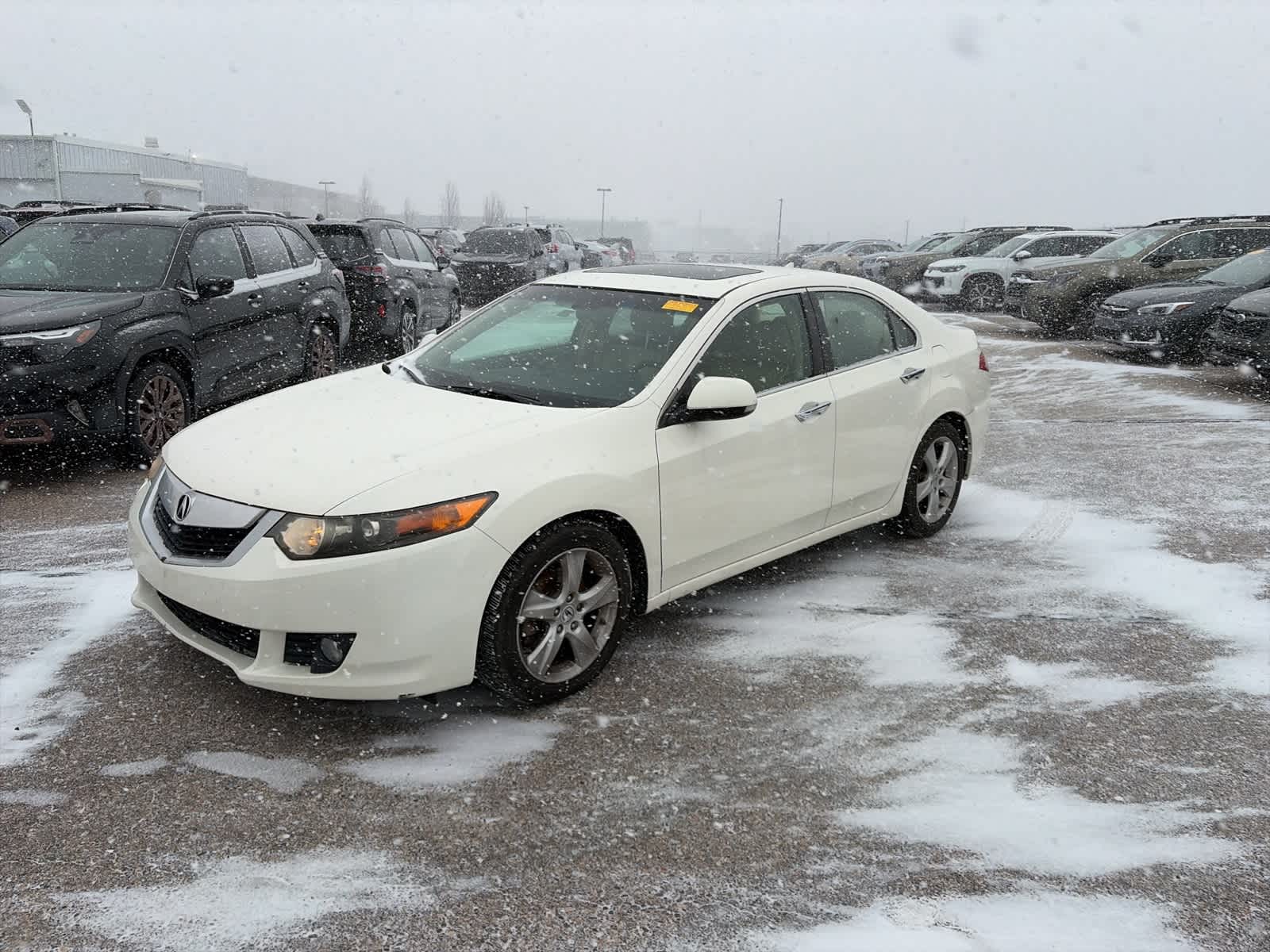 2010 Acura TSX  -
                  Troy, MI