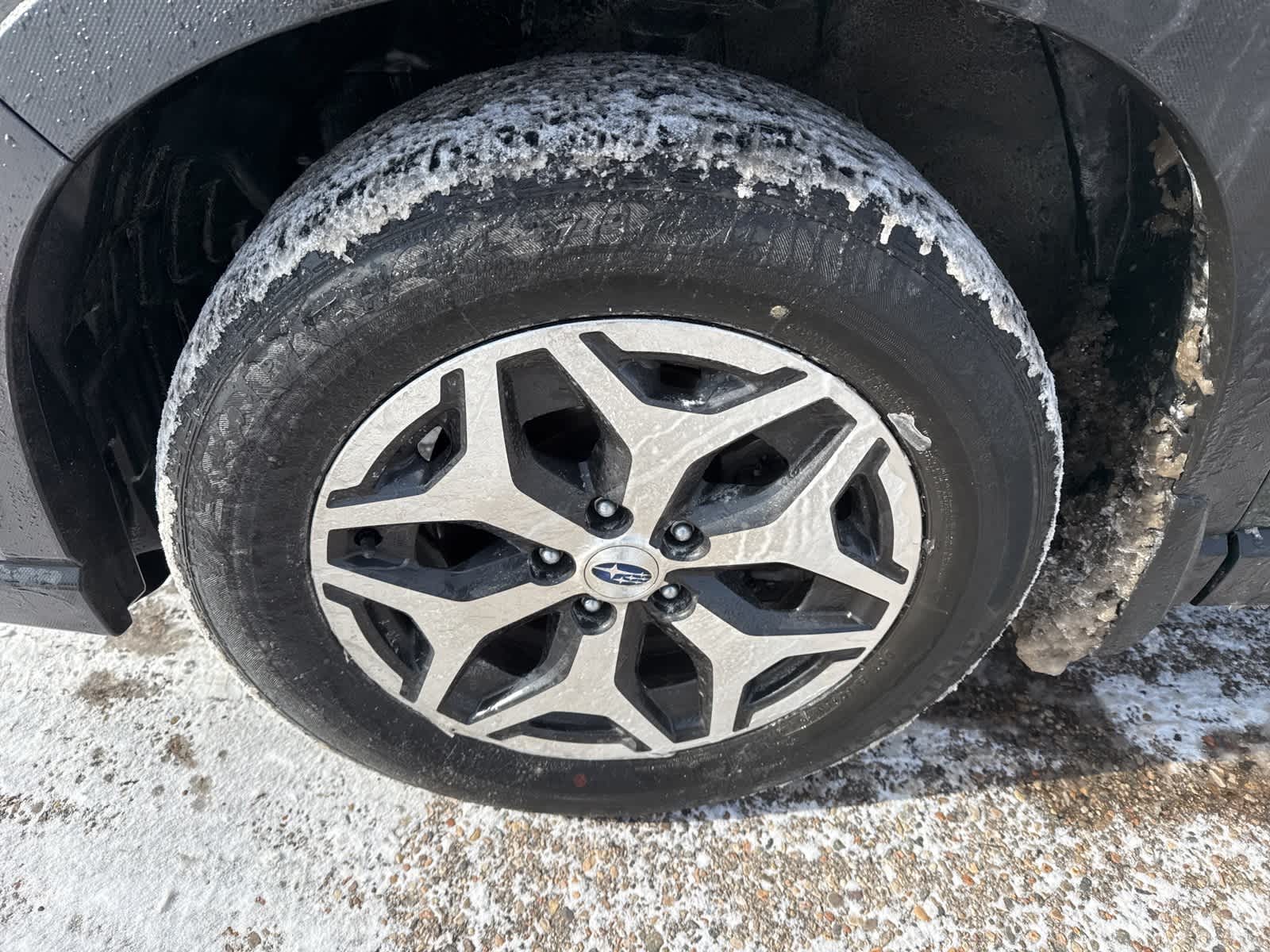 Thumbnail: 2023 Subaru Forester - 6