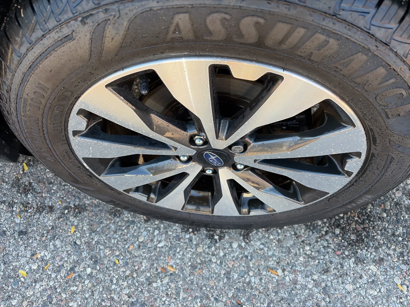 Thumbnail: 2015 Subaru Outback - 8