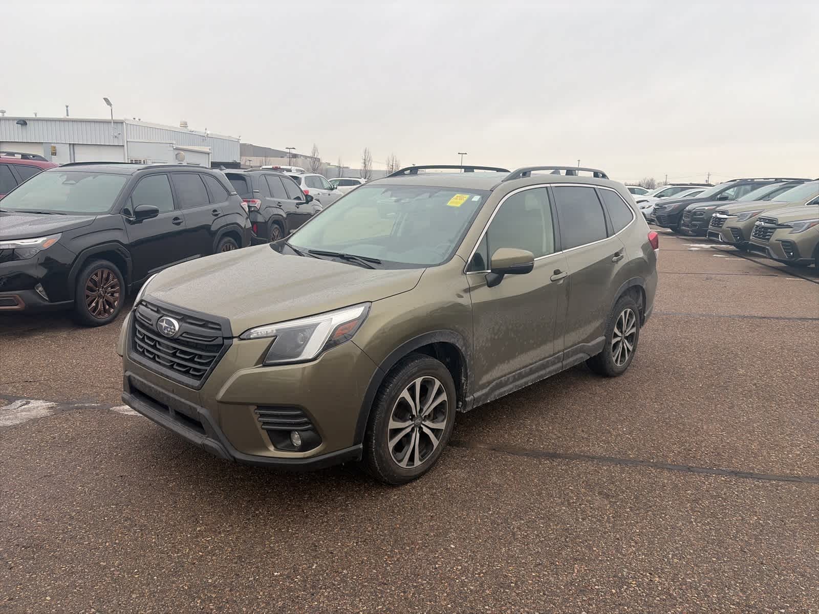 2024 Subaru Forester Limited's photo