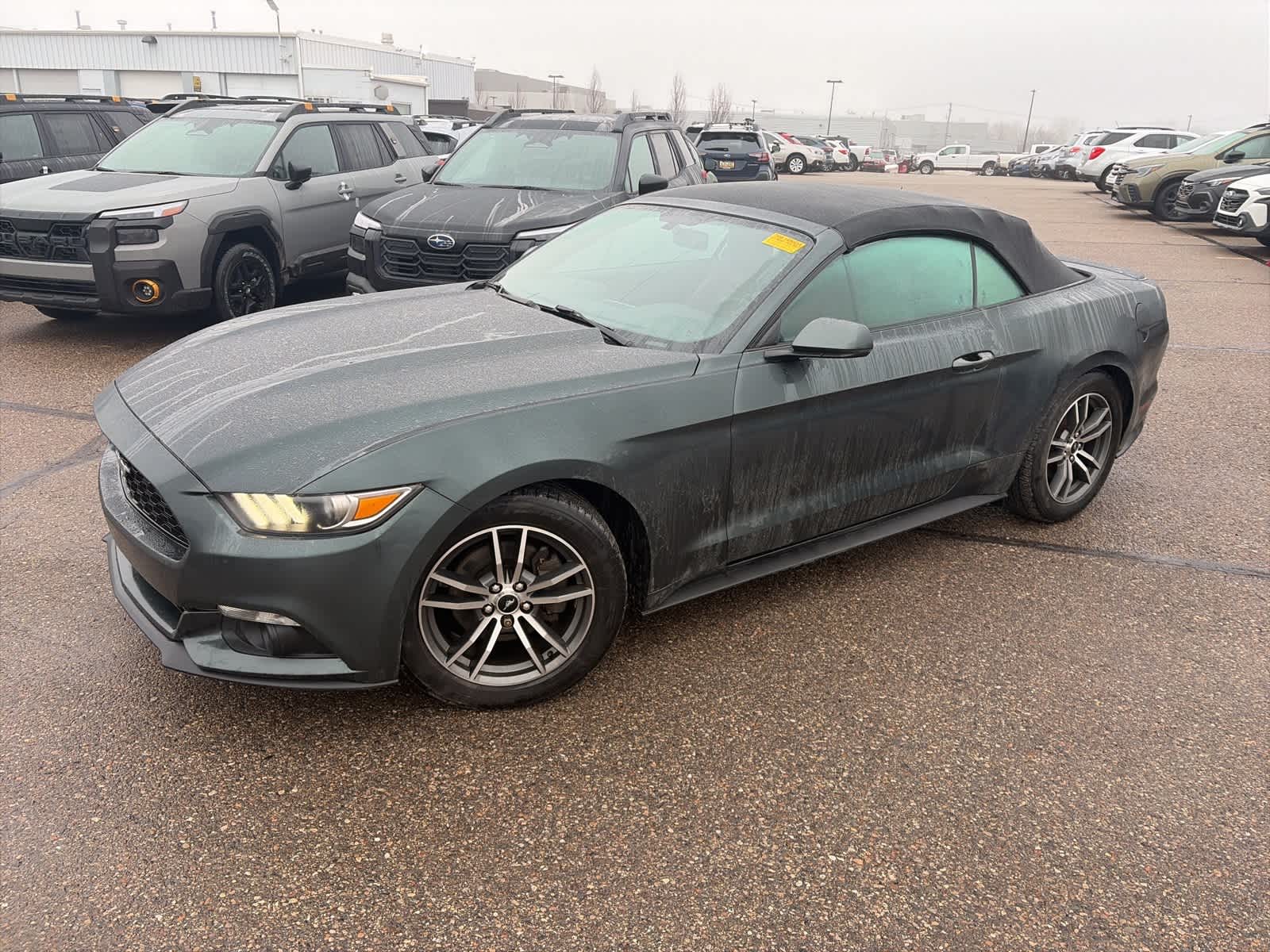 2016 Ford Mustang  -
                  Troy, MI