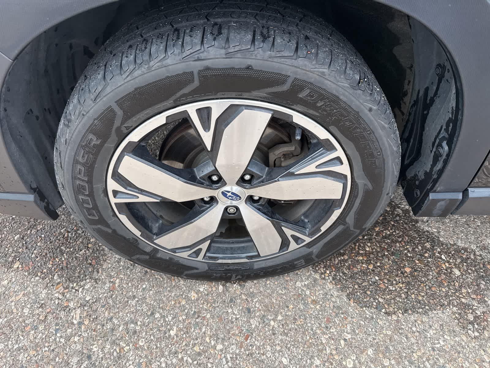 Thumbnail: 2019 Subaru Forester - 6