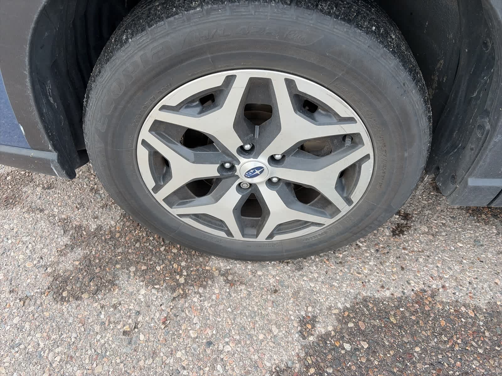 Thumbnail: 2023 Subaru Forester - 7