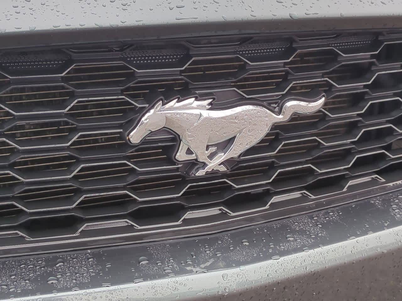 Thumbnail: 2016 Ford Mustang - 12