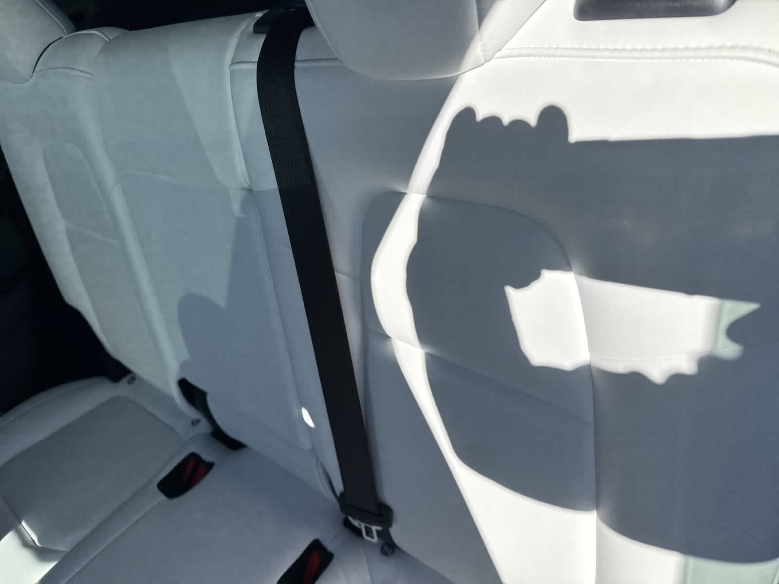 Thumbnail: 2023 Tesla Model Y - 13