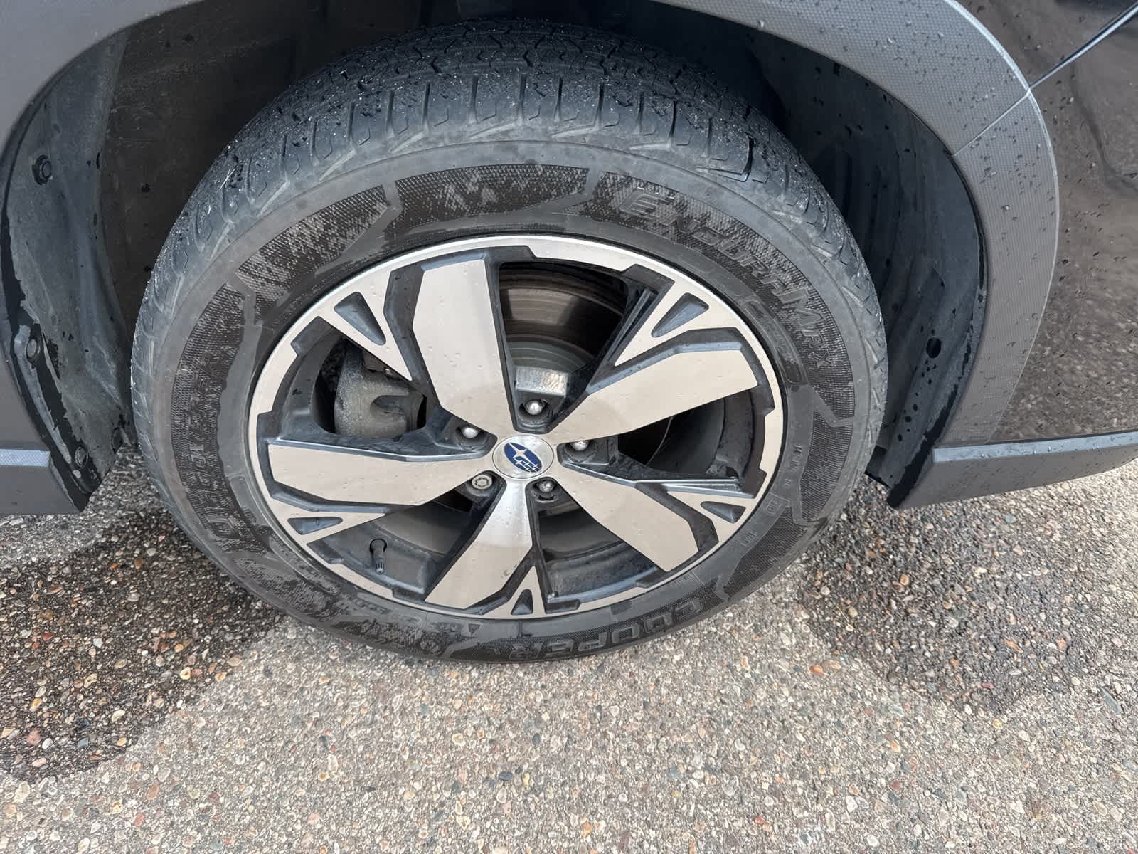 Thumbnail: 2019 Subaru Forester - 5
