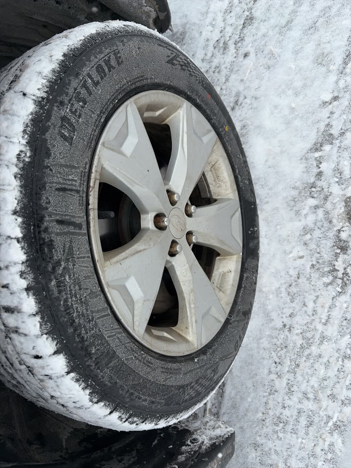 Thumbnail: 2015 Subaru Forester - 7