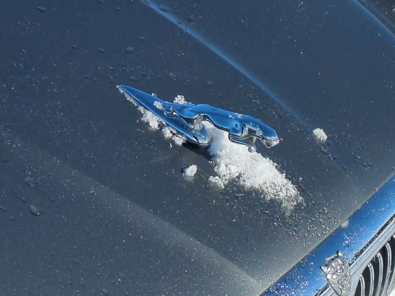 Thumbnail: 2004 Jaguar X-Type - 4