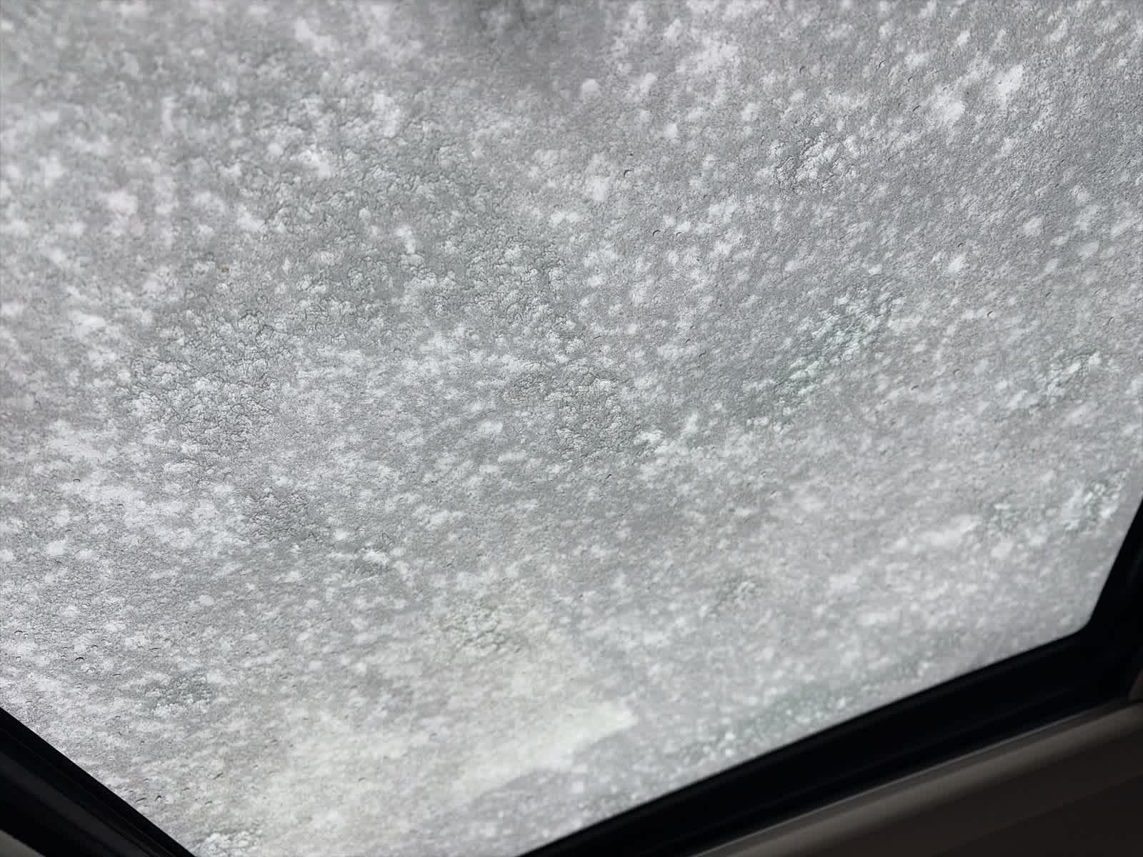 Thumbnail: 2019 Subaru Forester - 13