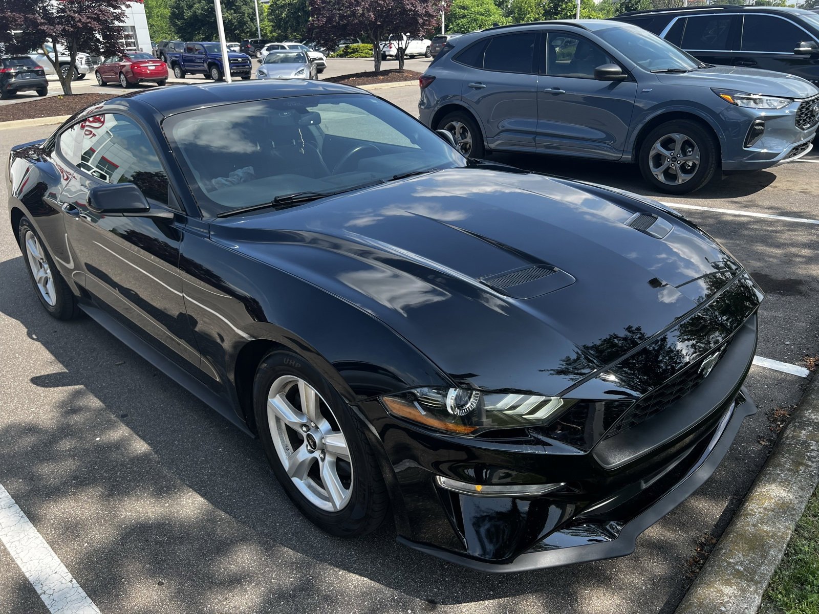 2019 Ford Mustang  9