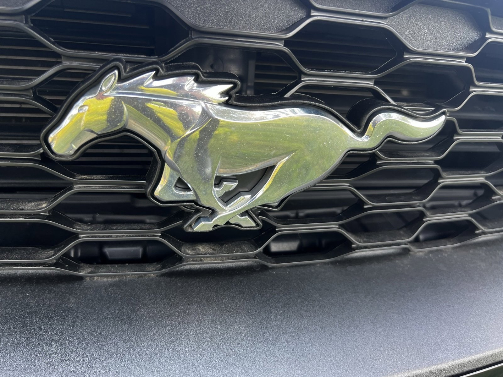 2019 Ford Mustang  8