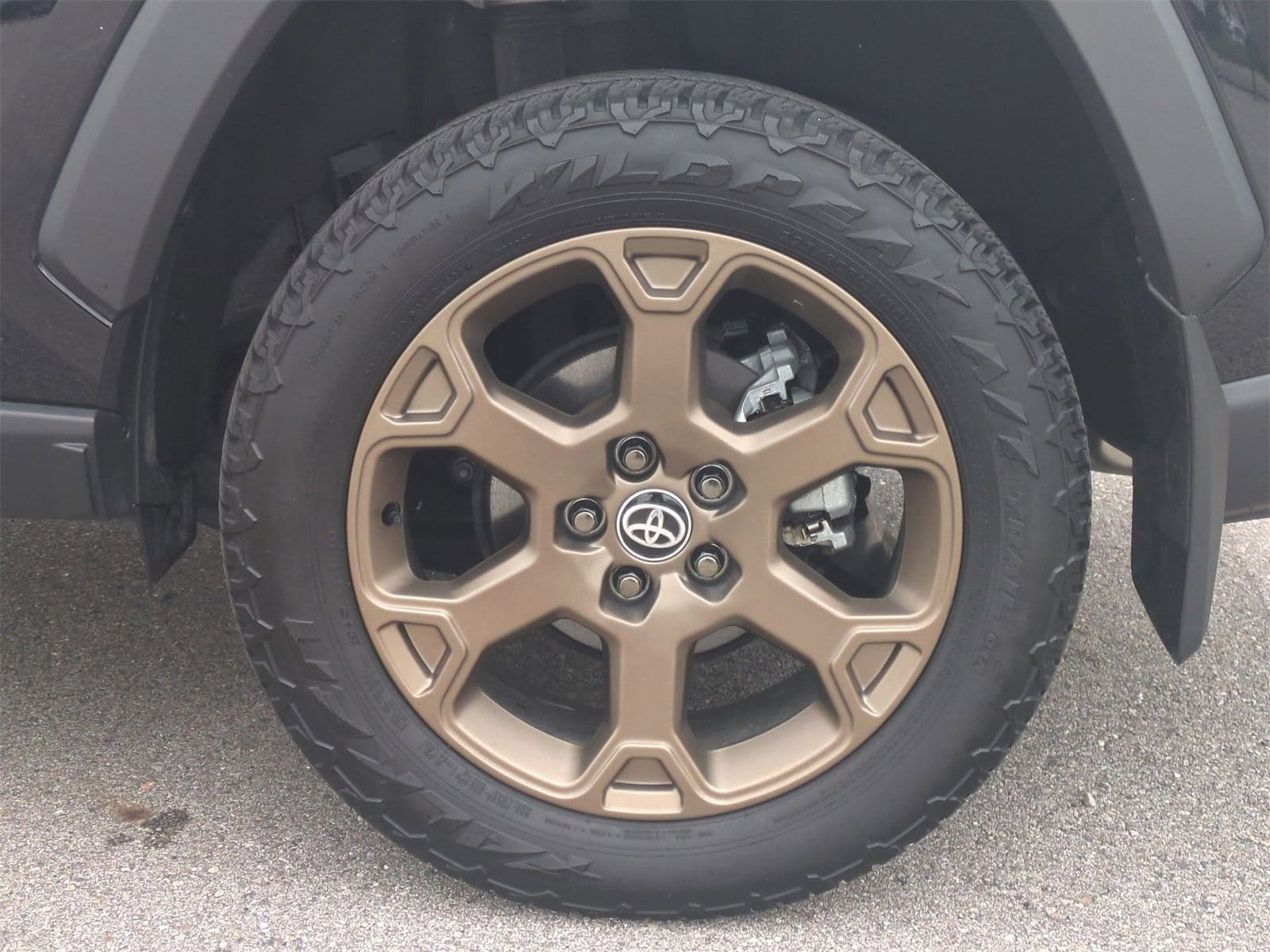 2023 Toyota RAV4 Woodland Edition 14