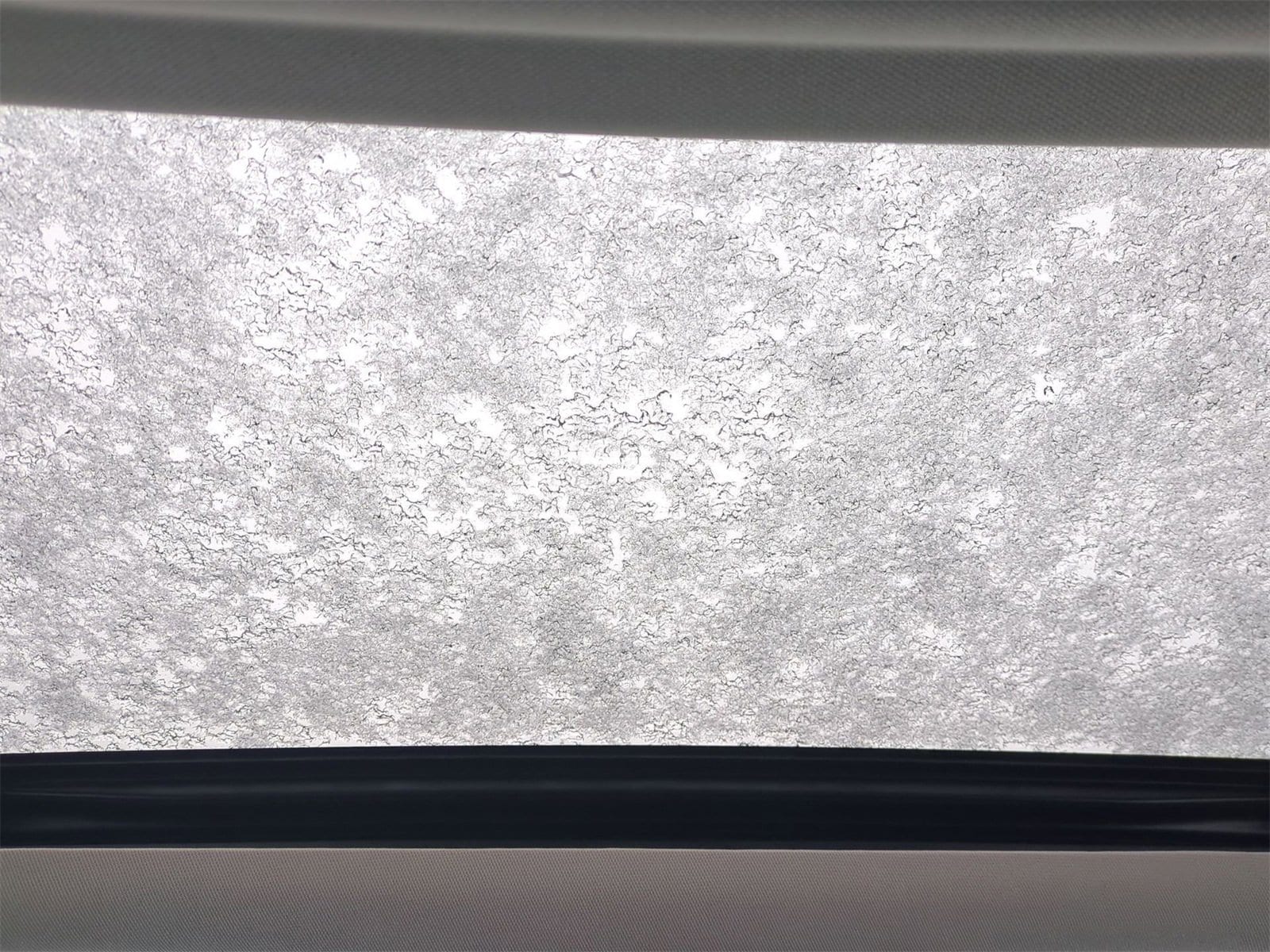 Thumbnail: 2024 Honda Civic - 22