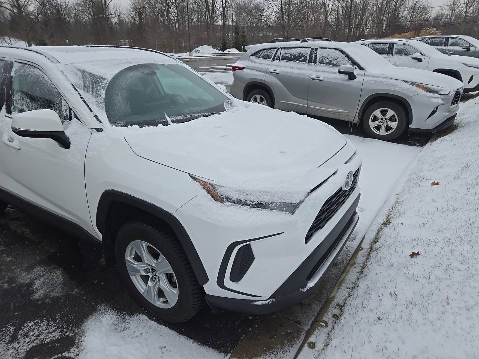 2023 Toyota RAV4 XLE