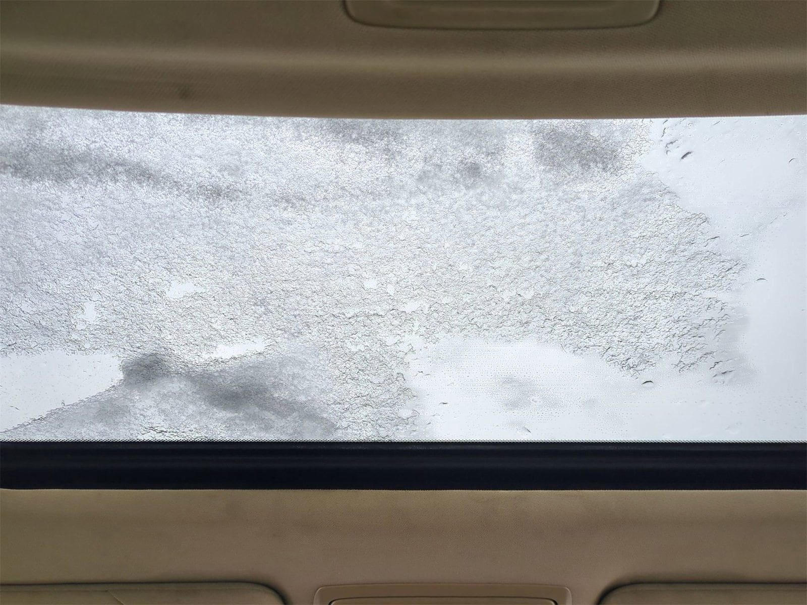 Thumbnail: 2010 Honda Accord - 21