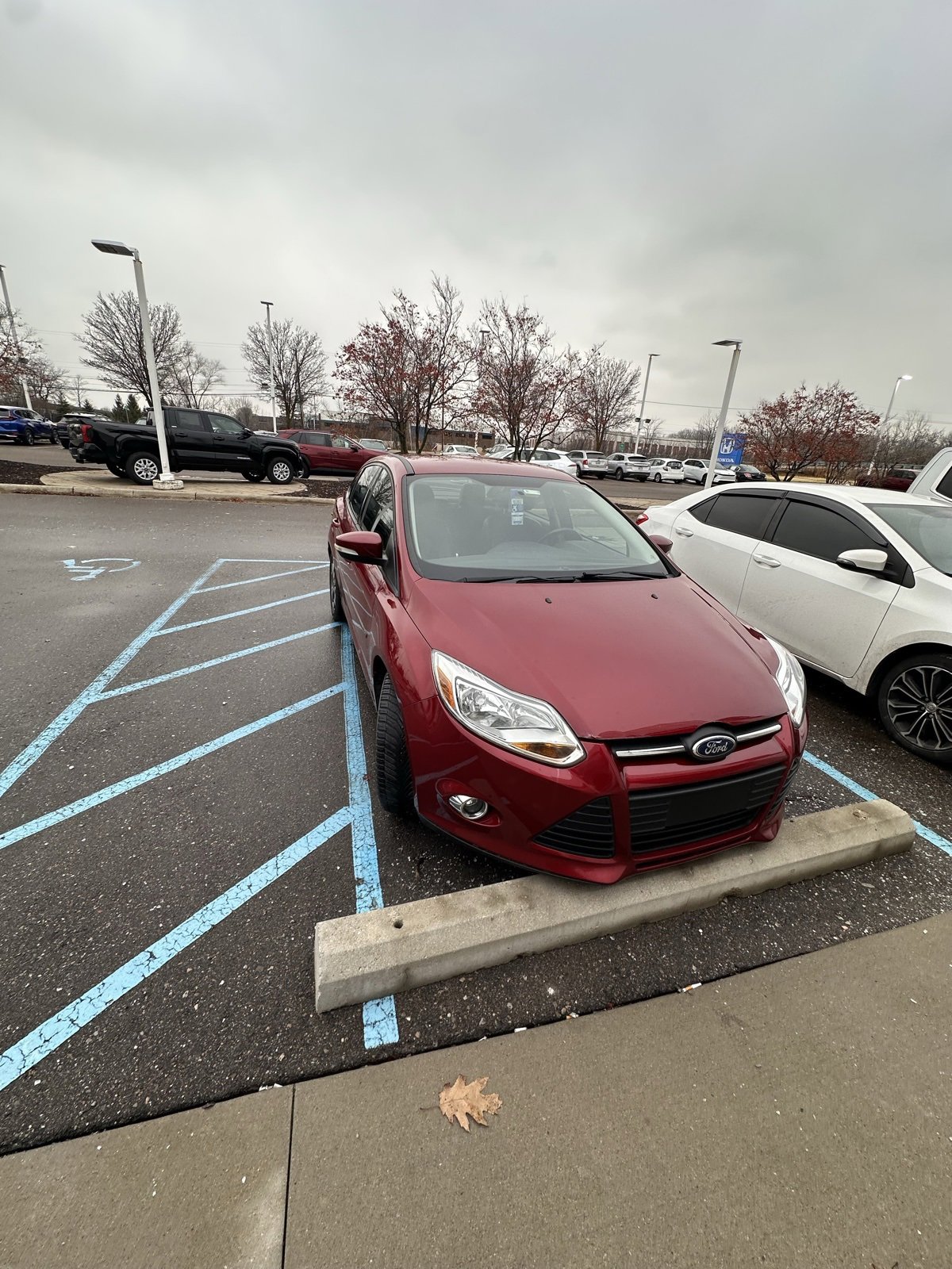 Thumbnail: 2013 Ford Focus - 2