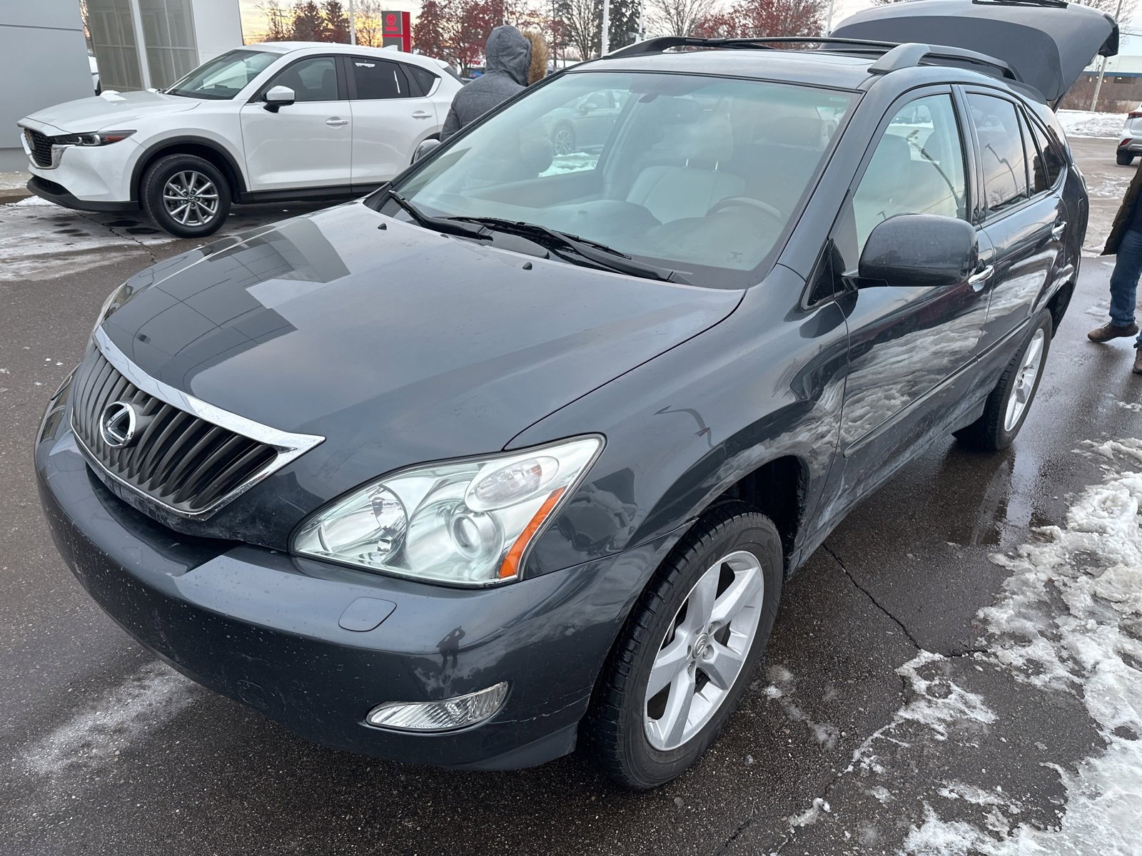 2008 Lexus RX 350 -
                  Farmington Hills, MI