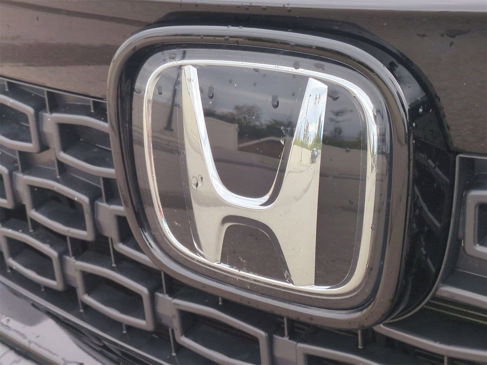 Thumbnail: 2019 Honda Passport - 12