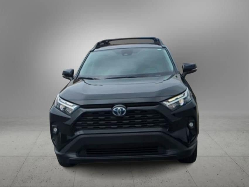 2023 Toyota RAV4 Woodland Edition 3
