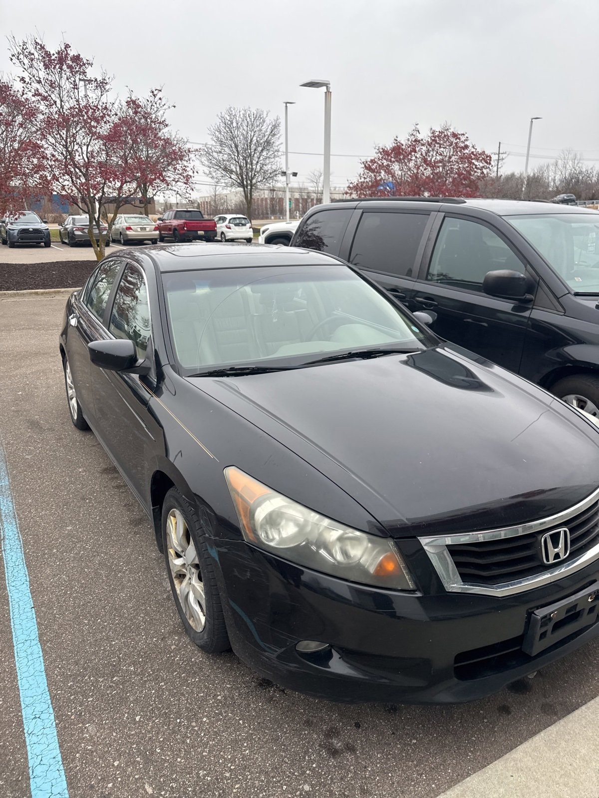 Thumbnail: 2010 Honda Accord - 2