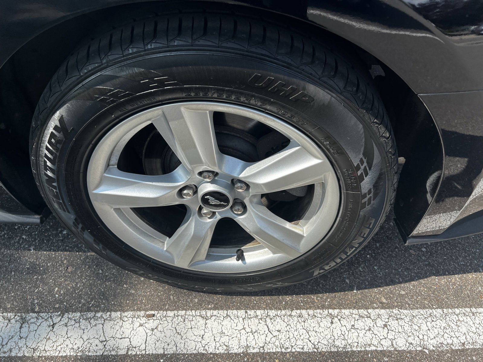 2019 Ford Mustang  12