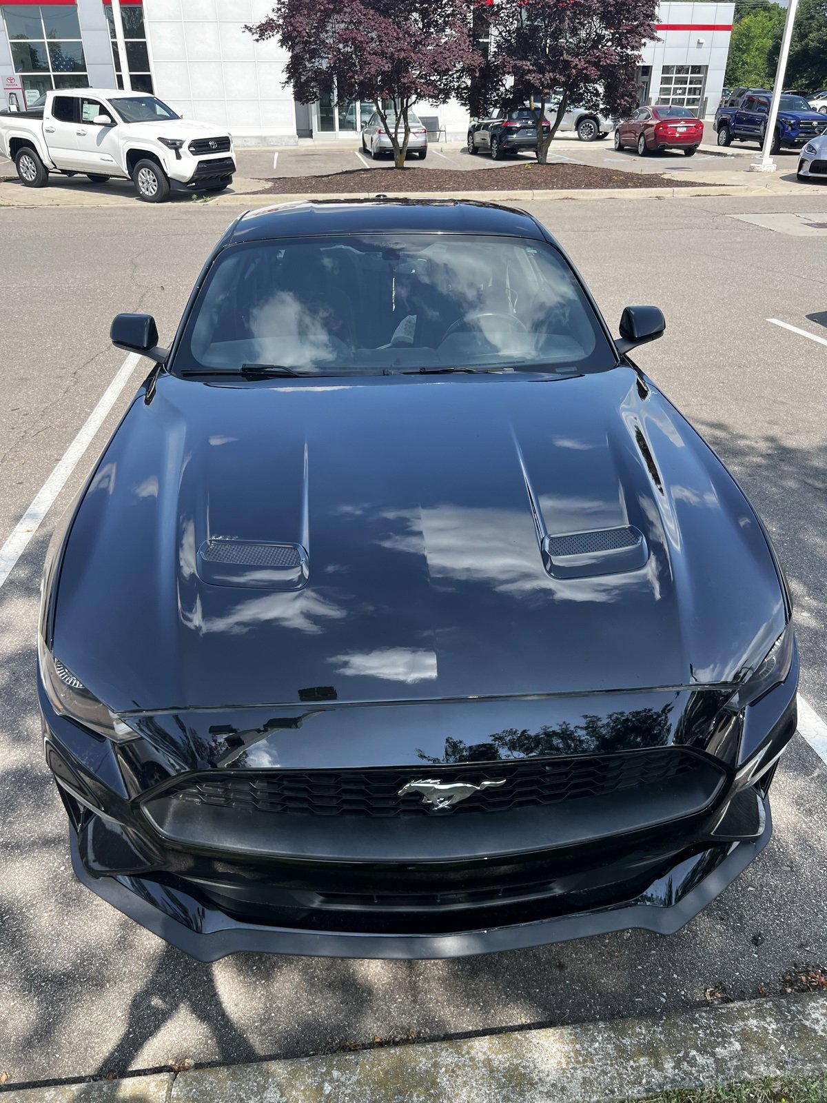 2019 Ford Mustang  Hero Image