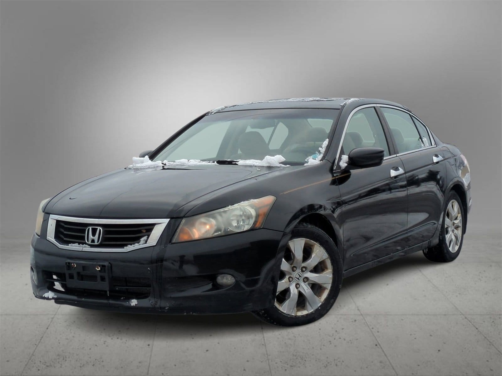 2010 Honda Accord EX-L -
                  Farmington Hills, MI