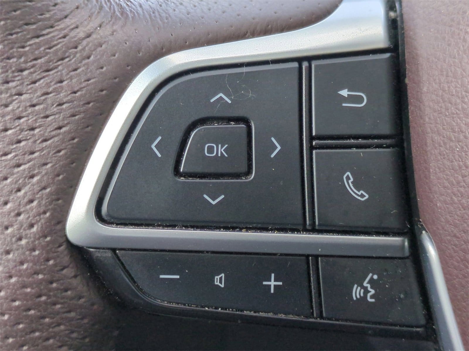2021 Toyota Sienna Platinum 25