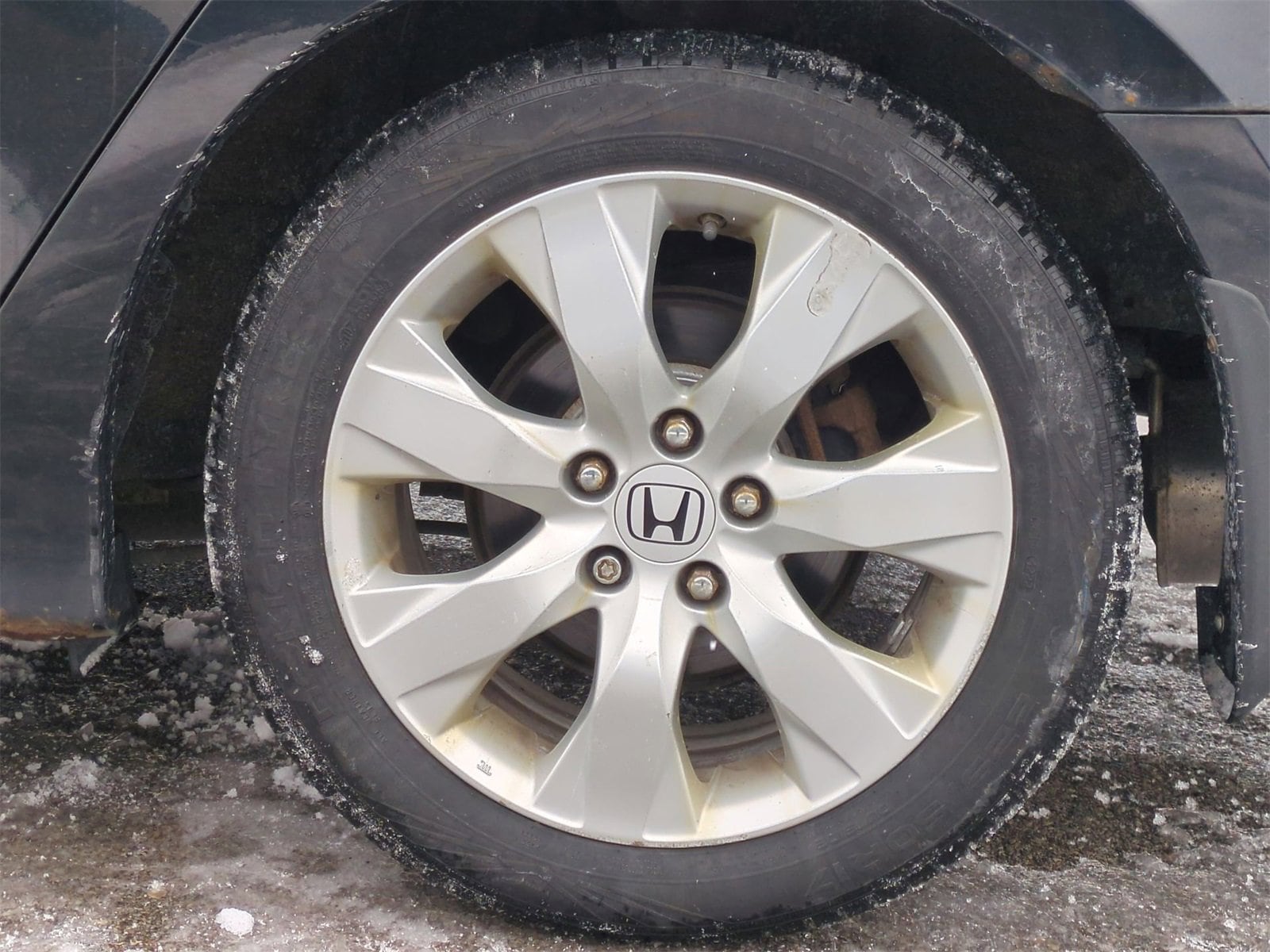 Thumbnail: 2010 Honda Accord - 13