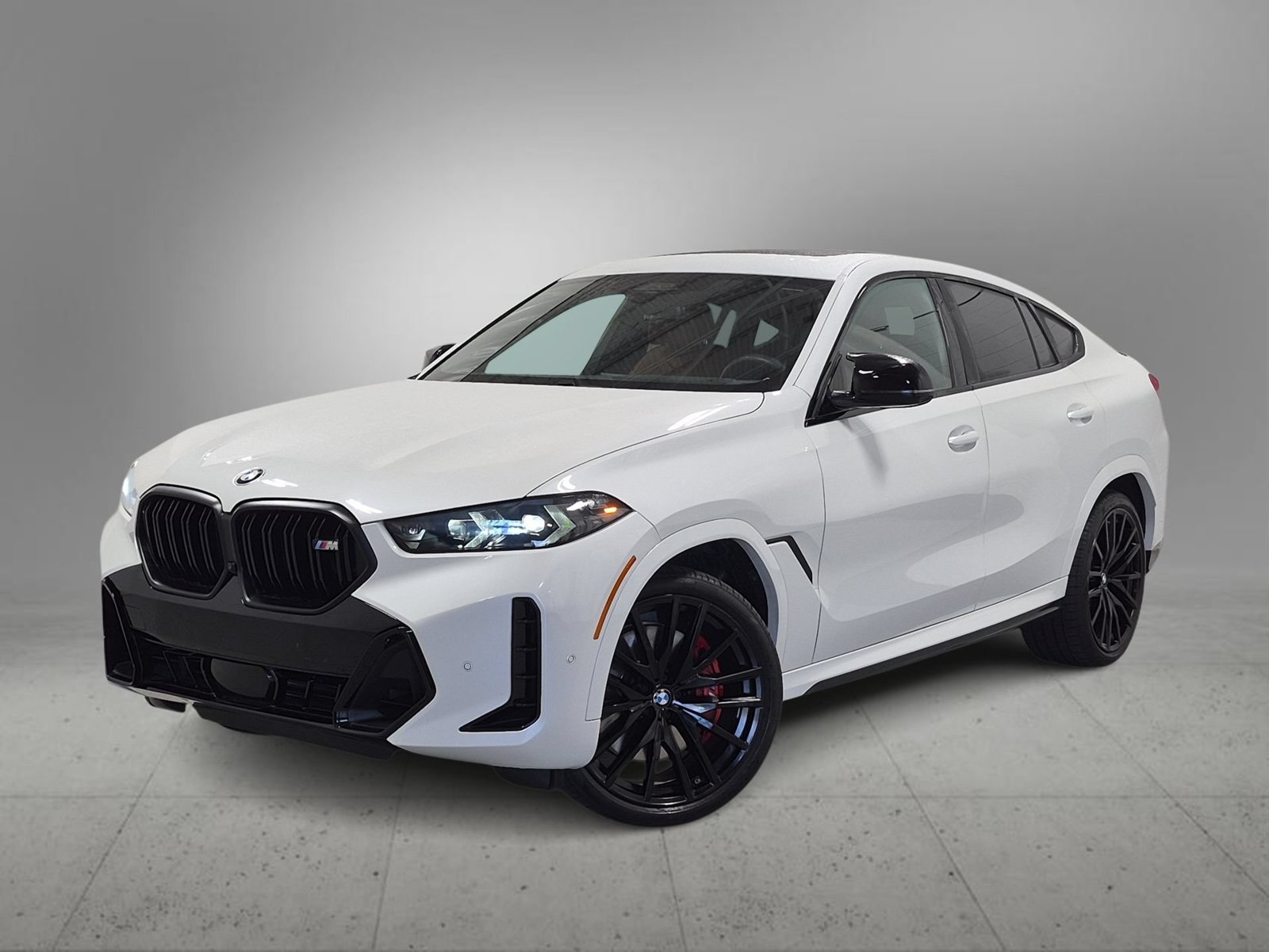 2025 BMW X6