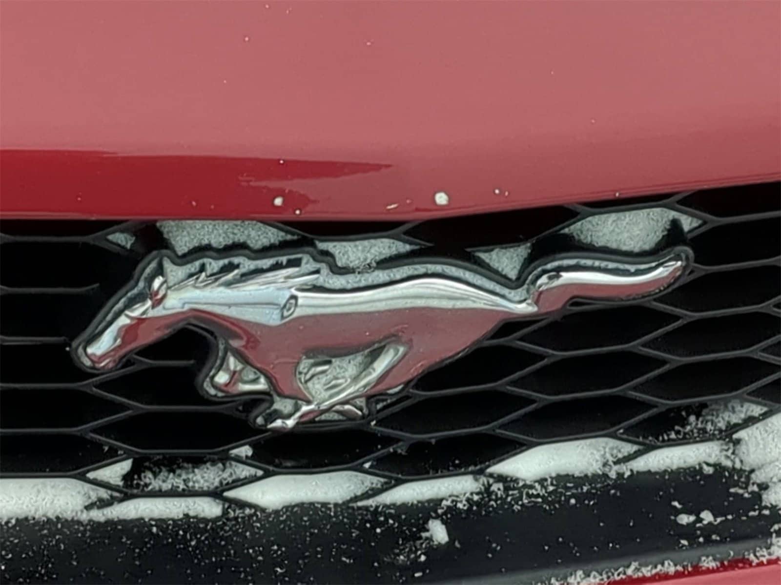 Thumbnail: 2006 Ford Mustang - 12