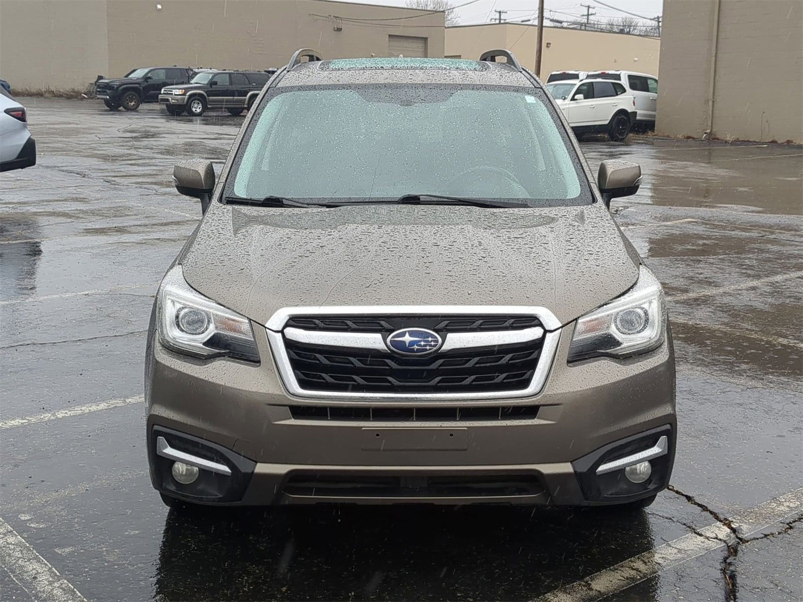 Thumbnail: 2017 Subaru Forester - 17