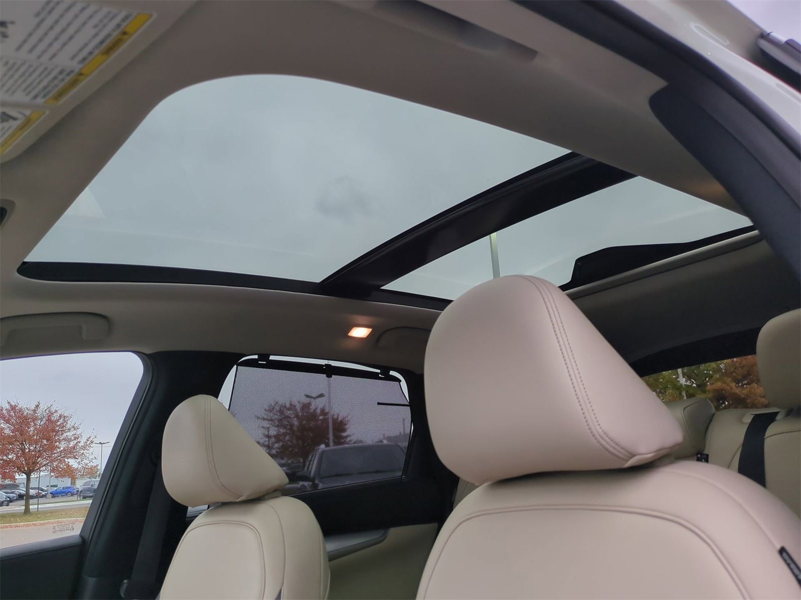 Thumbnail: 2021 INFINITI QX50 - 19