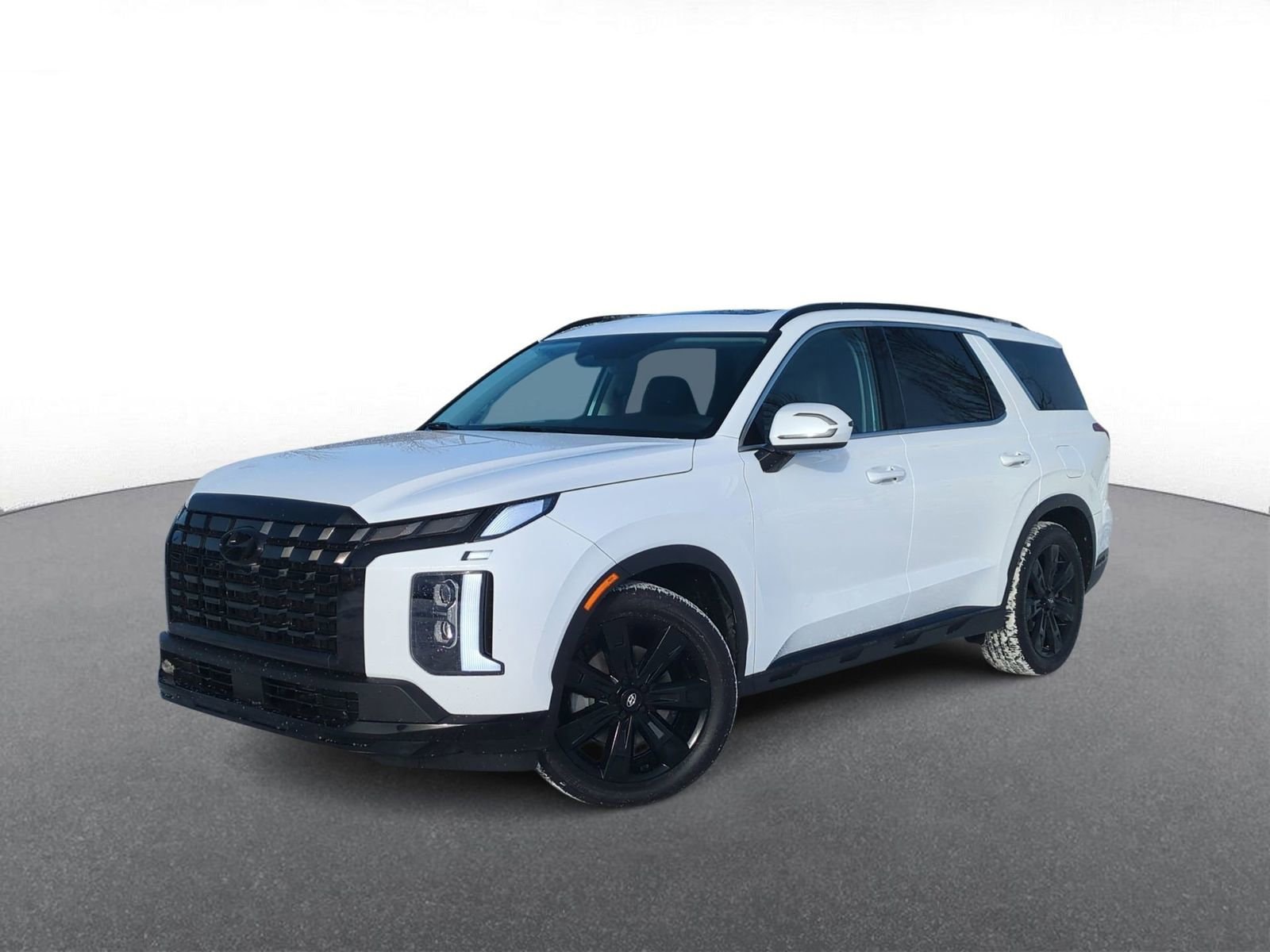 2024 Hyundai Palisade XRT AWD's photo