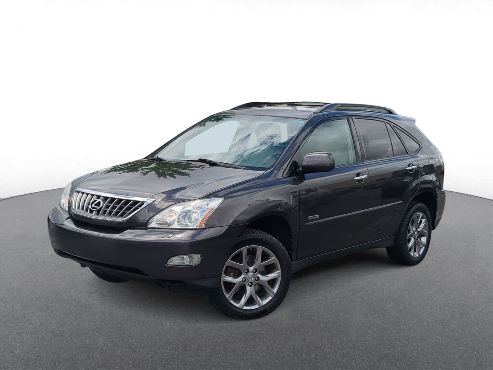 2009 Lexus RX 350 -
                  Troy, MI