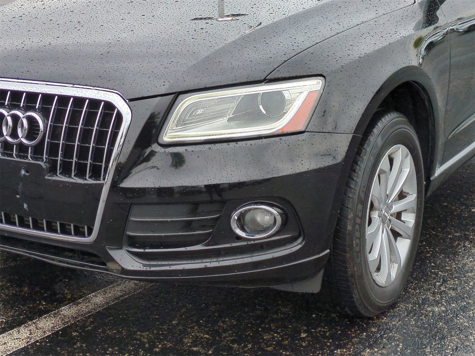 Thumbnail: 2016 Audi Q5 - 11