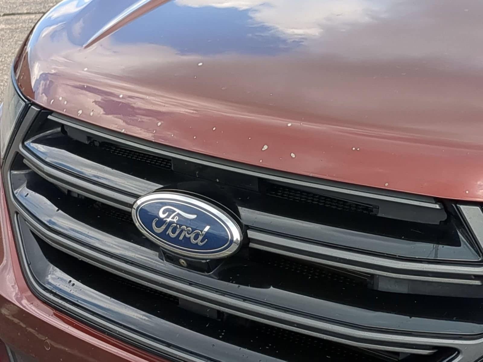 Thumbnail: 2015 Ford Edge - 12