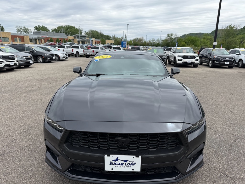 Used 2024 Ford Mustang EcoBoost with VIN 1FA6P8TH2R5122306 for sale in Winona, Minnesota