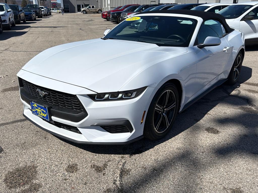 Used 2024 Ford Mustang EcoBoost Premium with VIN 1FAGP8UH9R5129191 for sale in Winona, Minnesota