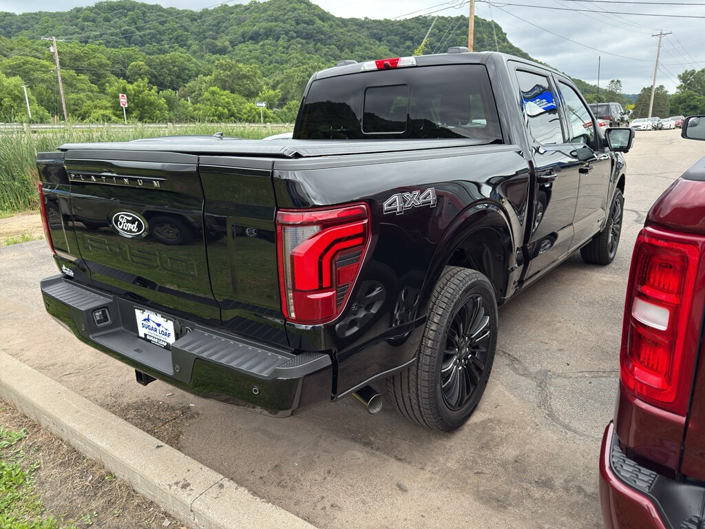 2025 Ford F-150 Platinum photo 4